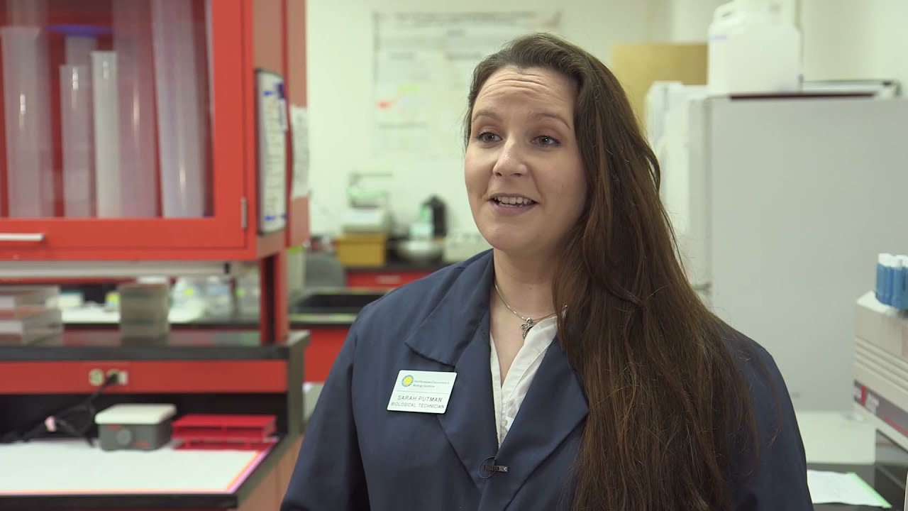 Zoo Jobs: Meet an Endocrinologist