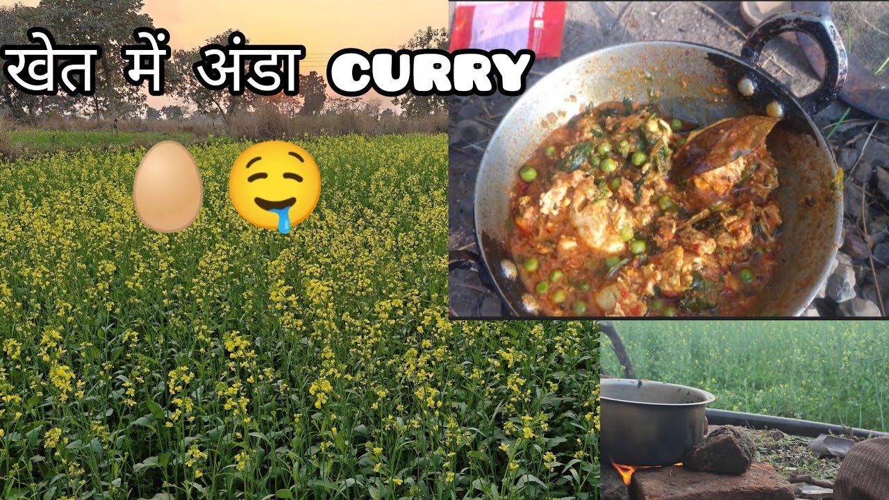 मिट्टी के चूल्हे पर बनी ढाबा स्टाइल अंडा करी | Village Life Cooking🥚😋🤤//Special Egg curry khet me|🥚🤤