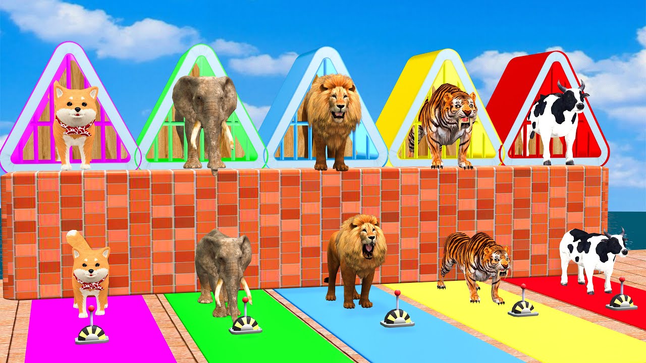 Long Slide Game With Elephant Gorilla Buffalo Hippopotamus Tiger - 3d Animal Game - Funny 3d Animals