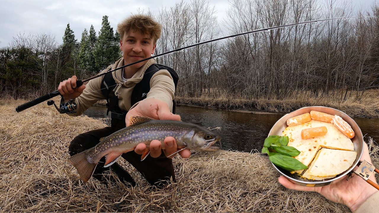 Fishing a Remote Creek in the Woods LOADED with Trout - Cheese Quesadillas