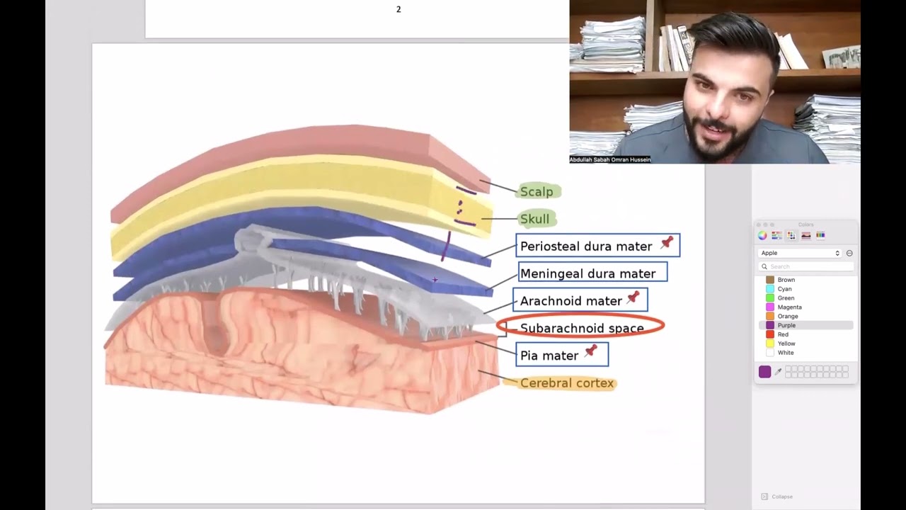 Lec1 Scalp anatomy P 1 (مرحلة ثانية - منهاج طب الاسنان الوزاري)