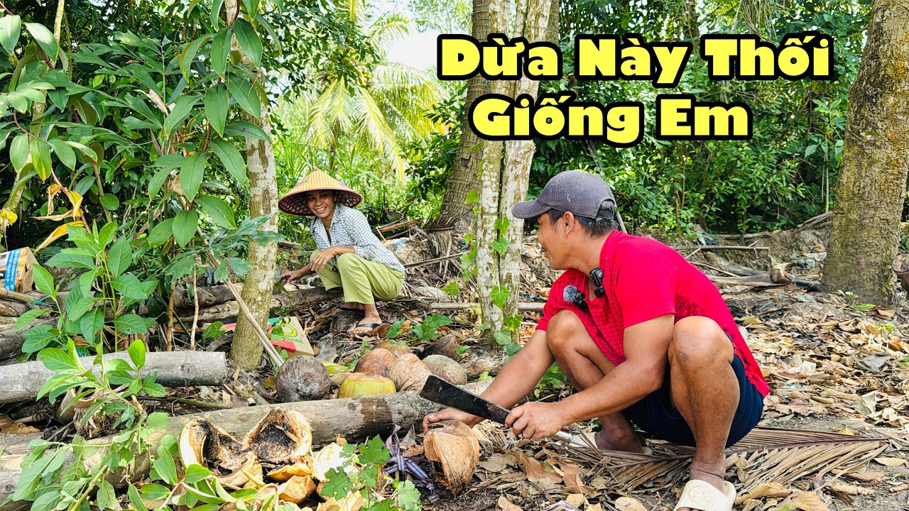 Bất ngờ xuân thảo tất bật chuẩn bị củi nấu bánh chưng xuân vừa bổ ra gặp dừa thối xịt nước cười siểu