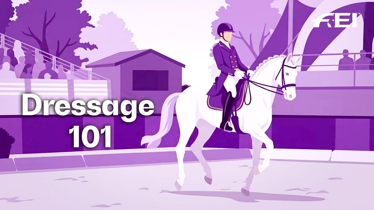 Dressage Explained: What to Know Before The FEI World Championships in Aachen 2026 💡👀👩&zwj;🎓