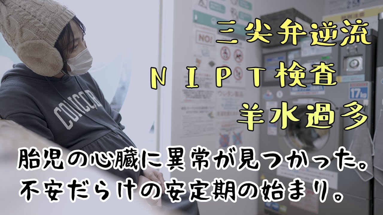 【妊娠初期】38歳高齢妊娠。胎児心臓に異常。NIPT検査を受ける。