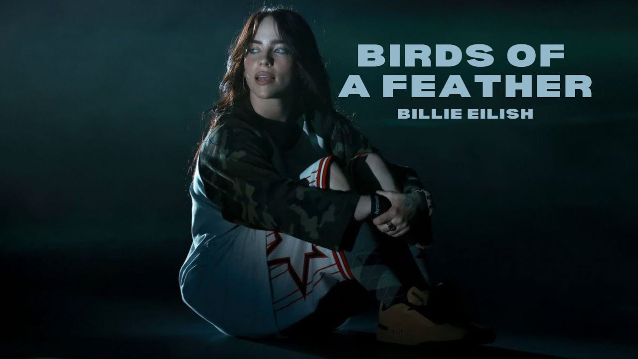 Billie Eilish 怪奇比莉 - BIRDS OF A FEATHER 最佳拍檔 中文翻譯