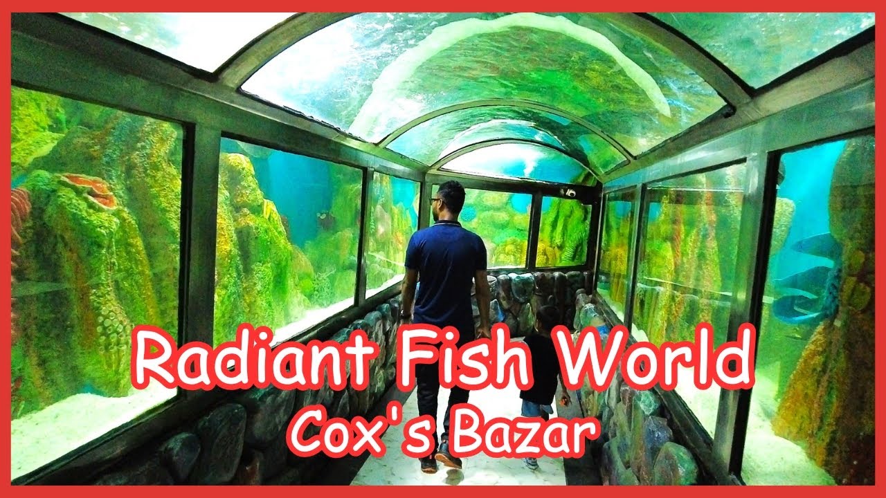 Radiant Fish World Cox's Bazar || রেডিয়েন্ট ফিস ওয়ার্ল্ড কক্সবাজার || টিকিটের মূল্য | Bapon Singha