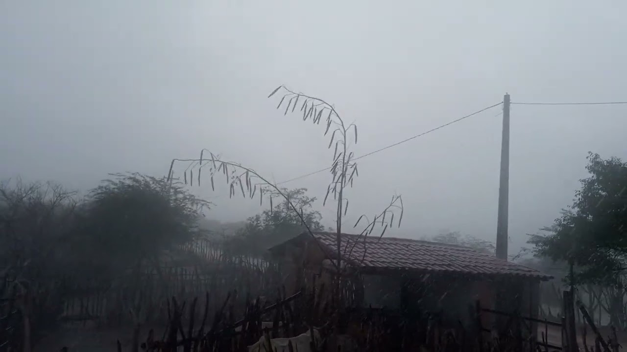 chuva com vento forte em Canoas Japi RN 26/01/2025