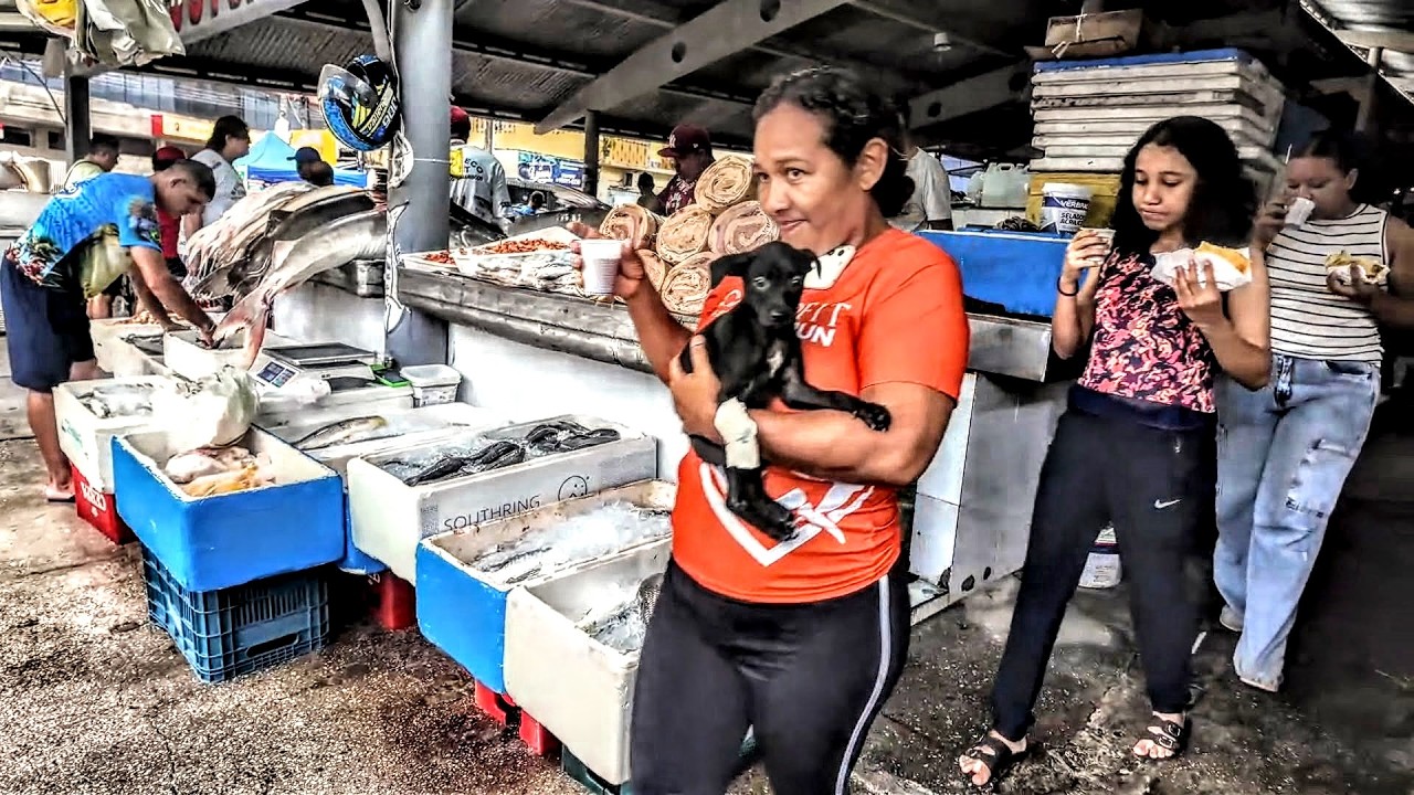 FEIRA DA 25 | Clima europeu | Belém, Pará