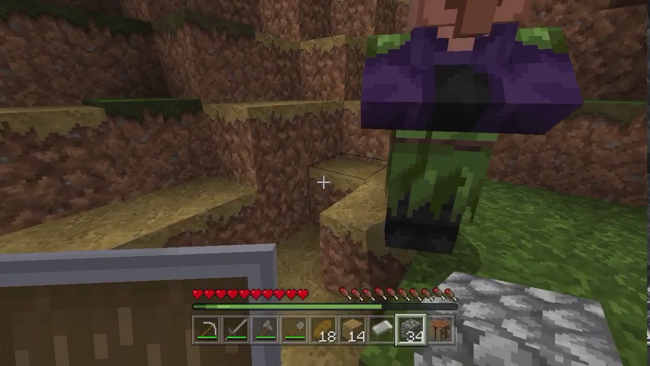 I found the RARE swamp villager