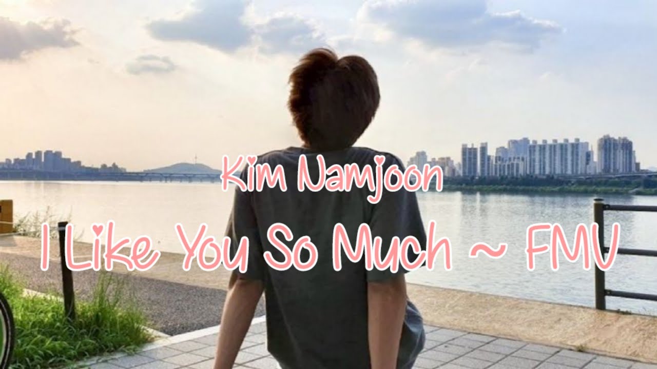 Kim Namjoon ~ I Like You So Much [FMV]