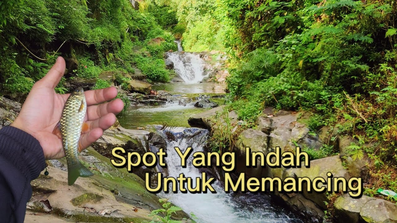 Spot Wader Cakul Di Pegunungan Memang Istimewa 😍