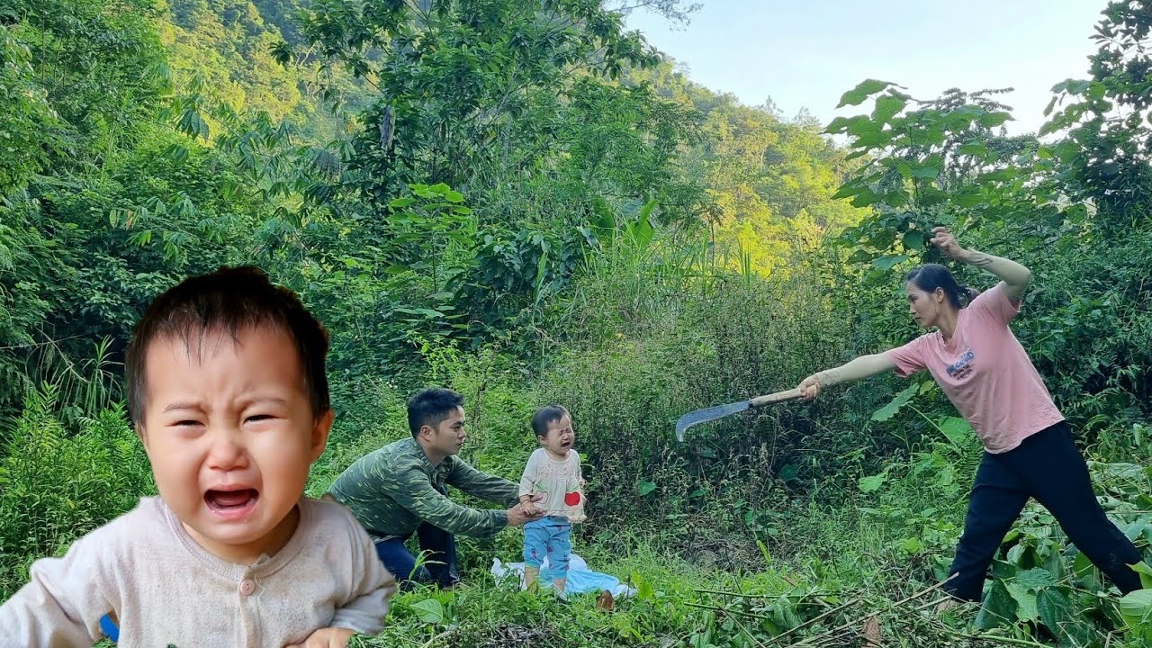 Harvesting  grapefruit to sell | my husbnd suddenly came to where l lived