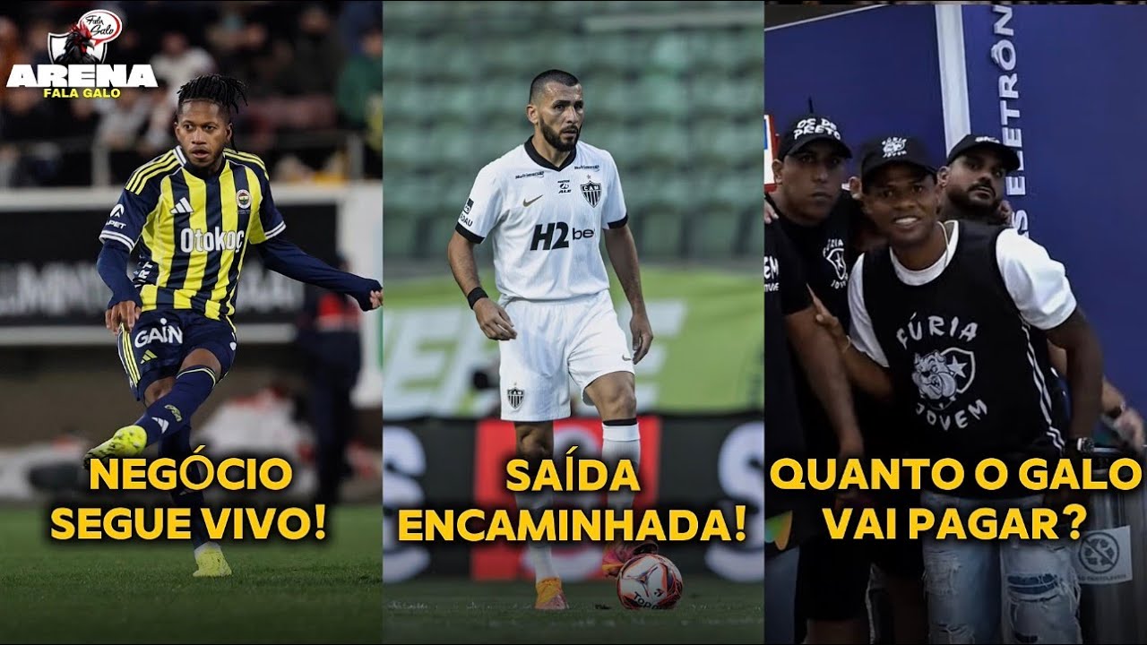😍 NEGÓCIO SEGUE VIVO! | 👋🏼 SAÍDA ENCAMINHADA! | 💰 QUANTO O GALO VAI PAGAR?
