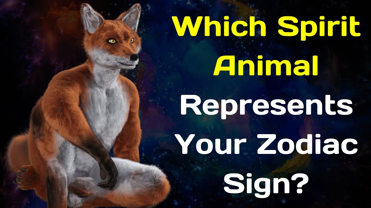 Which Spirit Animal Represents Your Zodiac Sign