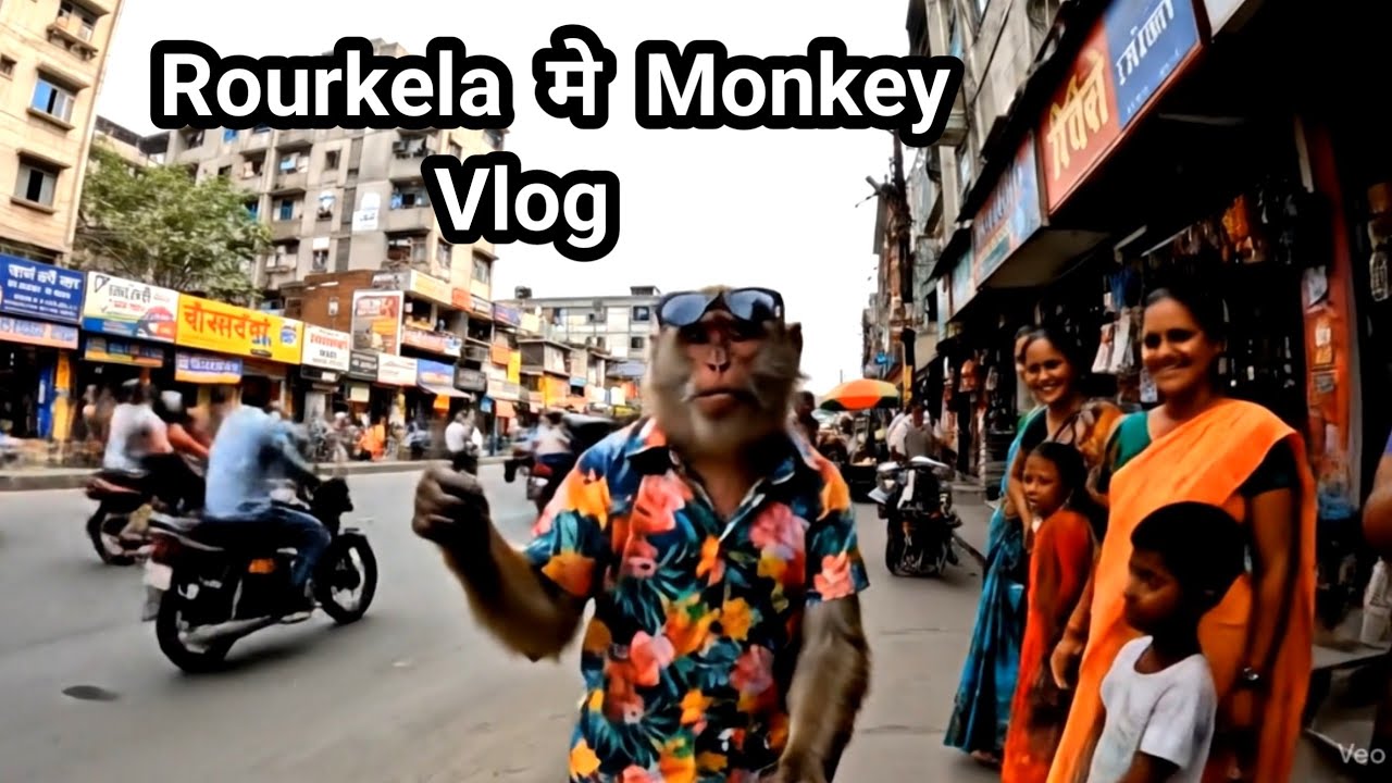 Monkey Vlogging Rourkela || Explore Osrtc Volvo Bus  || monkey vlog || monkey vlog video