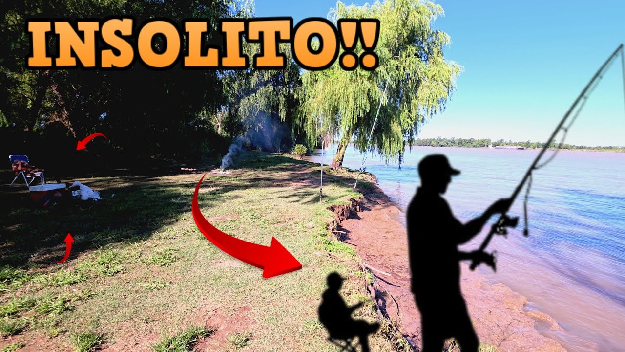INSOLITO  /  TODOS SORPRENDIDOS POR LO MISMO  /  PESCANDO Y COCINANDO EN LA ISLA  /  PESCA EN ZARATE