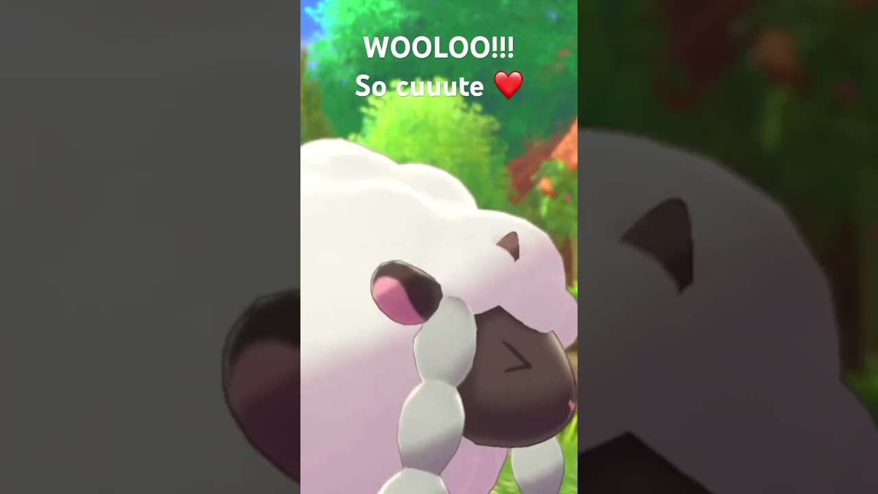 Cutie wooloo! Bet Koko would like this! #wooloo #pokemon #sword #cute #canonevent