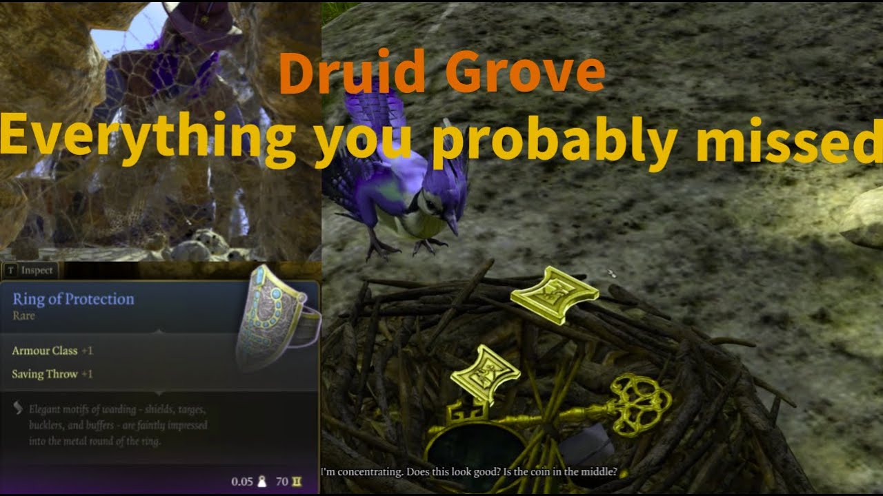 BG3 Easy Honor - Druid Grove Idol and Missed Loot