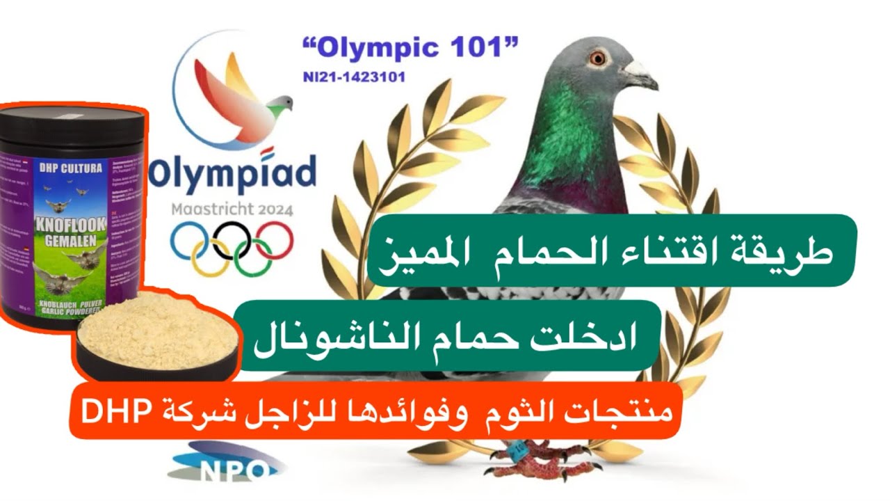 نصائح ومعلومات مهمة وكيفية اقتناء الحمام المميز  ومنتجات الثوم من شركة DHP العالمية ✌️لوفت النخبة