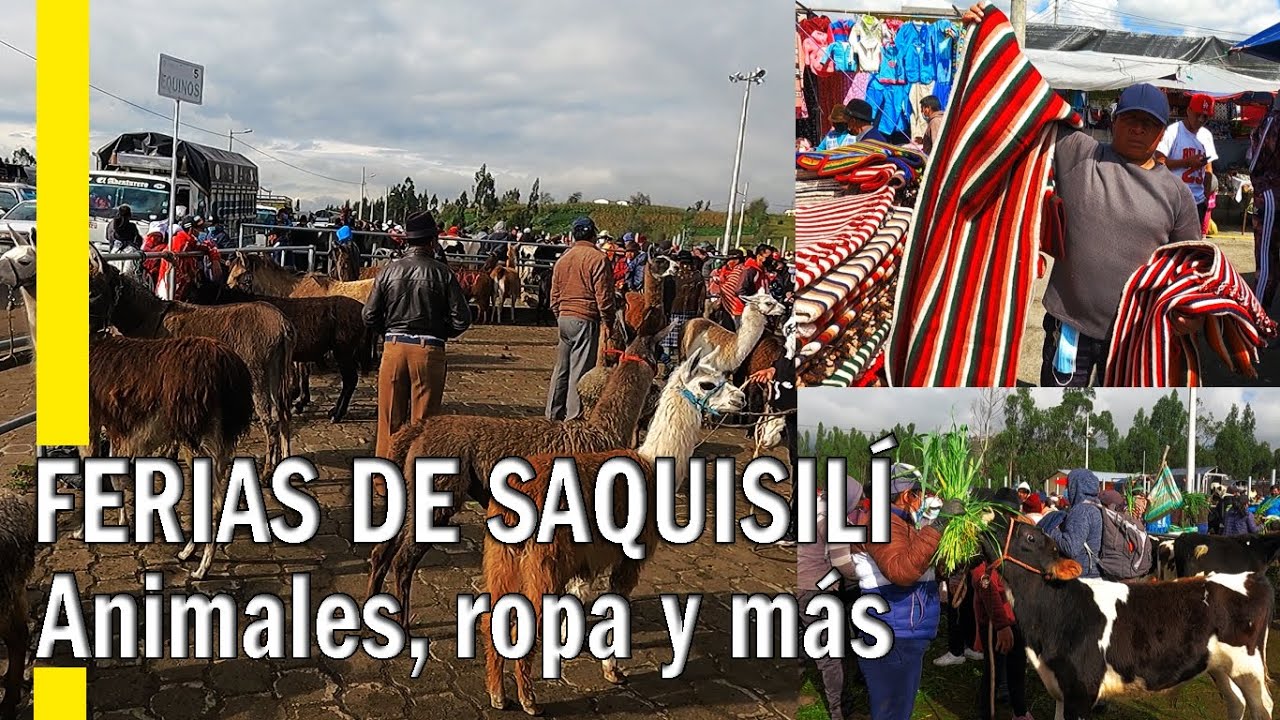 CONOCIENDO  Y RECORRIENDO LAS FERIAS DE SAQUISLÍ   PARTE II