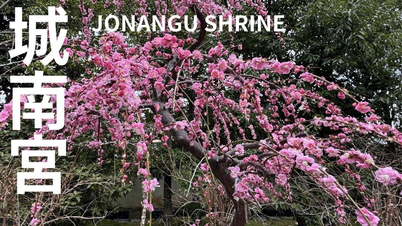 【城南宮】京都 KYOTO   JONANGU SHRINE