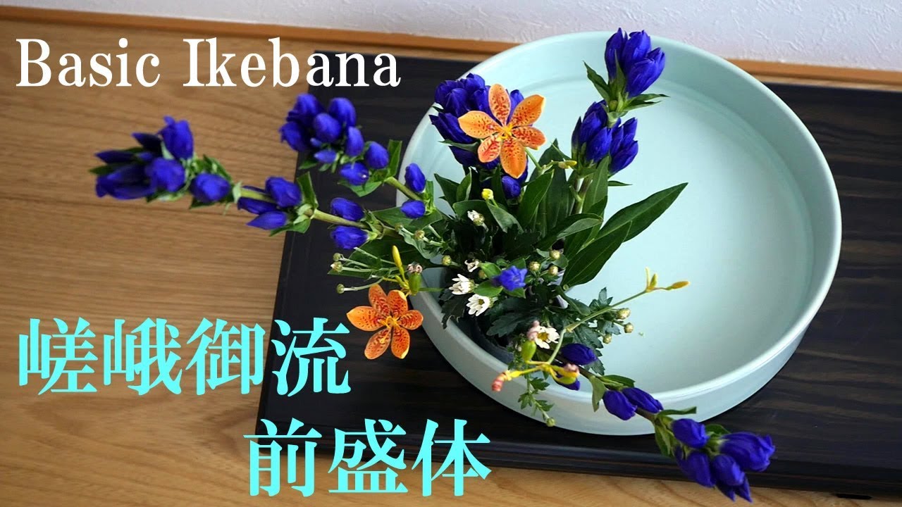 【生け花】嵯峨御流☆前盛体【ikebana】直売所のお花で基本の生け方