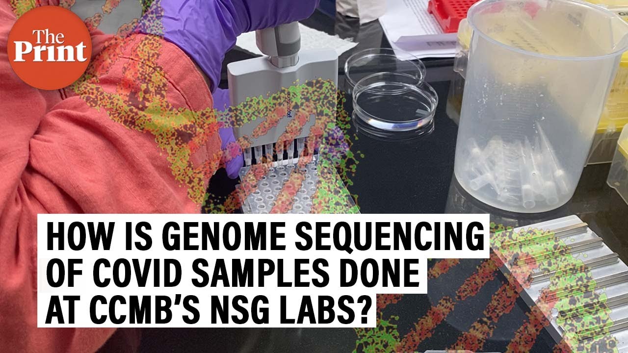 How is genome sequencing of Covid samples done at CCMB’s NGS labs?