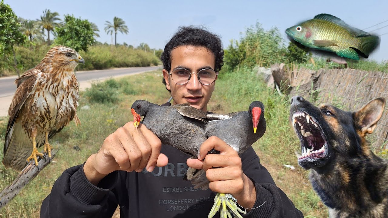 أغرب مزرعة في مدينة إدكو