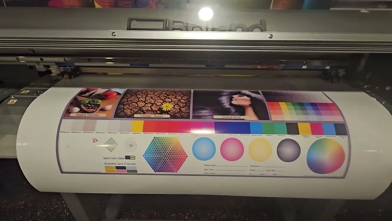 For Sale Roland VP300i printer cutter eco solvent wide format printer VIDEO DEMO
