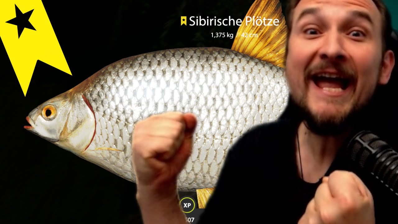 Russian Fishing 4 - Donez - Sibirische Plötze, Trophy Spot! In den Abendstunden ...