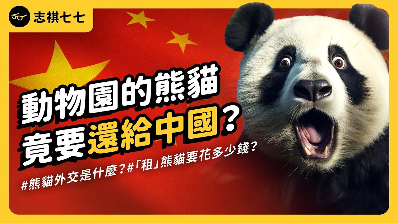 你知道跟中國「租」熊貓要多少錢嗎？旅外的熊貓，為何都要回歸祖國？《 左邊鄰居觀察日記 》EP 098｜志祺七七