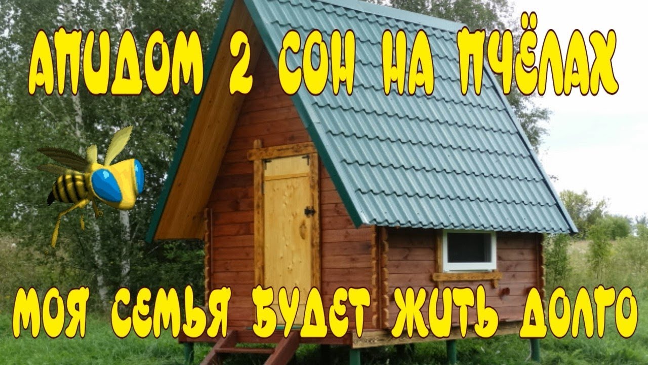 АПИДОМ СВОИМИ РУКАМИ. СТРОИТЕЛЬСТВО АПИДОМА. СОН НА ПЧЁЛАХ. НА 1000 000 ПЧЁЛ БОЛЬШЕ.