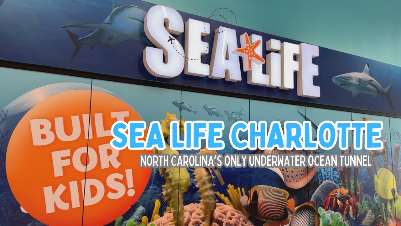 SEA LIFE Charlotte - Concord | Walking Tour