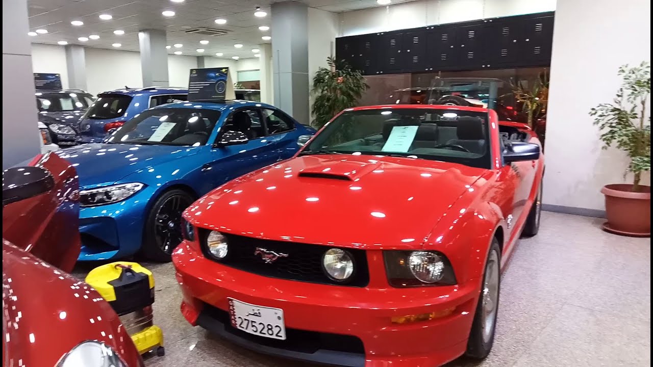 Oasis Qatar cars showroom