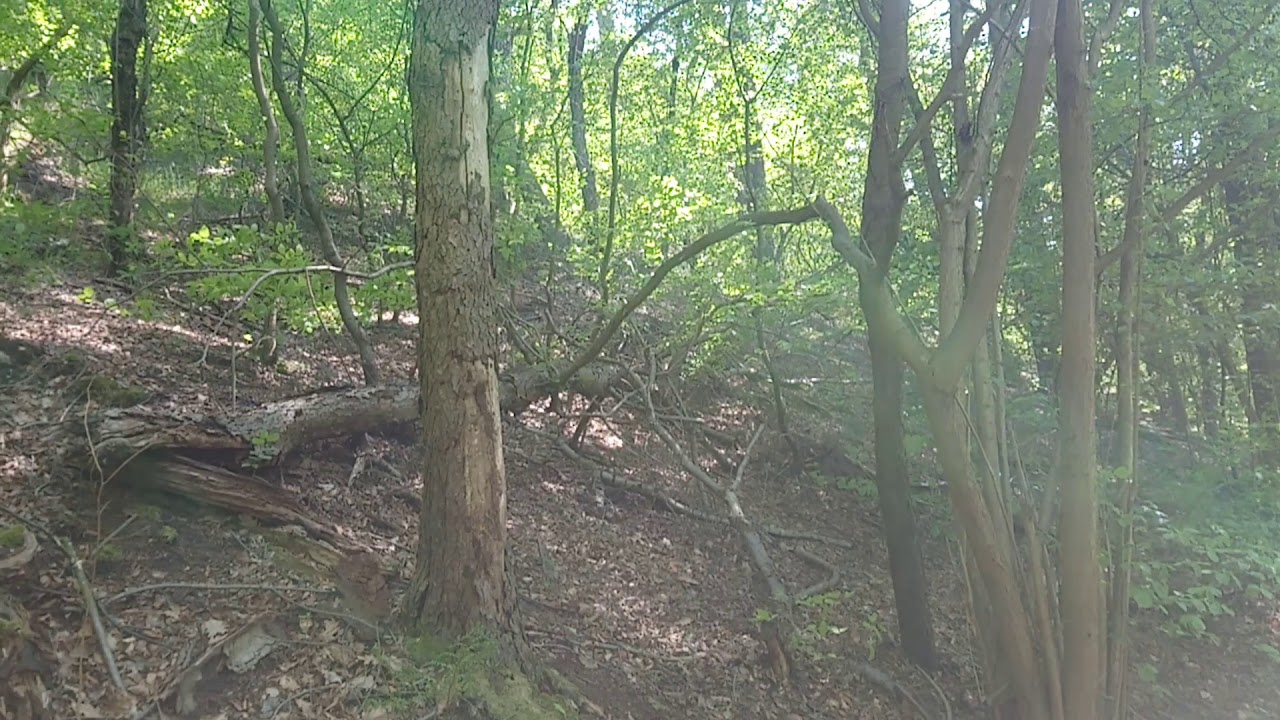 Wandern in Berlin und Brandenburg Teil 6.1 Einmal um den Fängersee