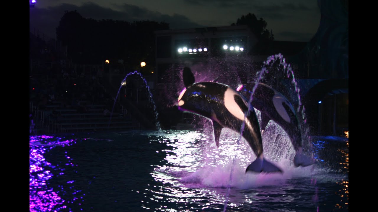 SeaWorld Vlog!