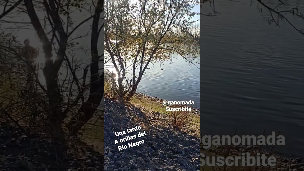Rio Negro, Gral. Roca