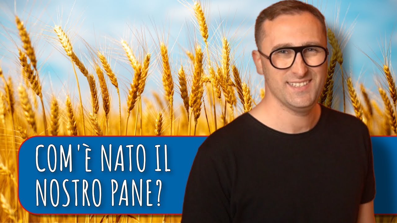 Come il grano tenero è diventato il frumento più diffuso al mondo? | L'evoluzione dei grani