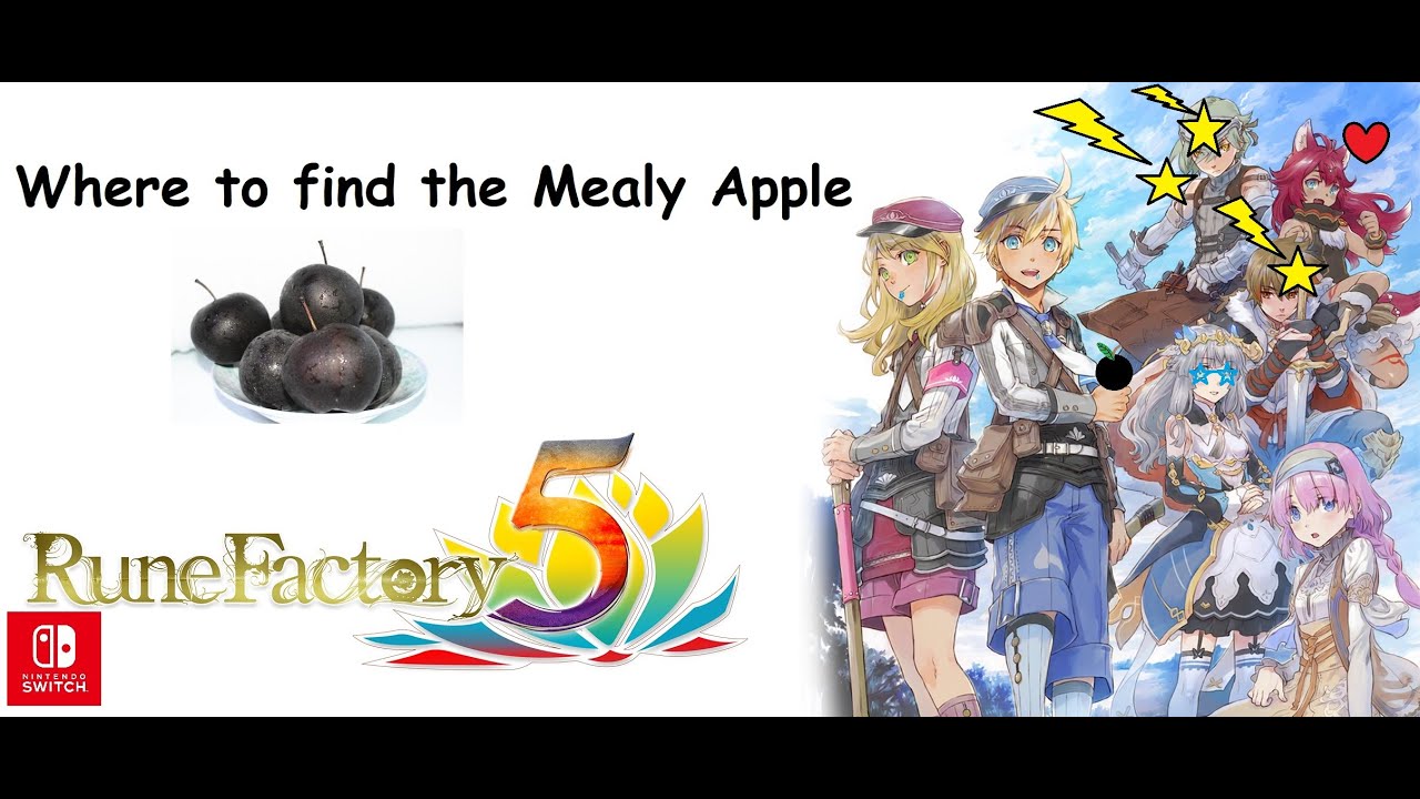 Where to find Mealy Apple in Rune factory 5