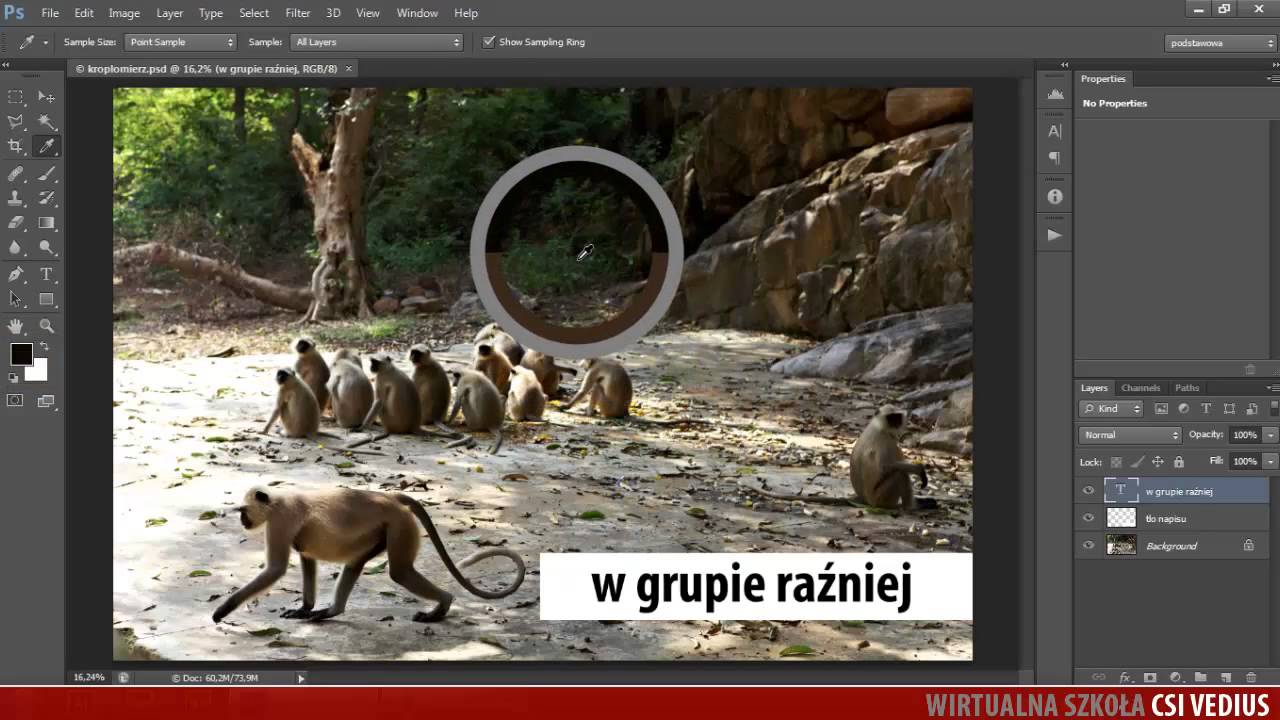Photoshop Kroplomierz - Centrum Szkoleń Informatycznych Vedius