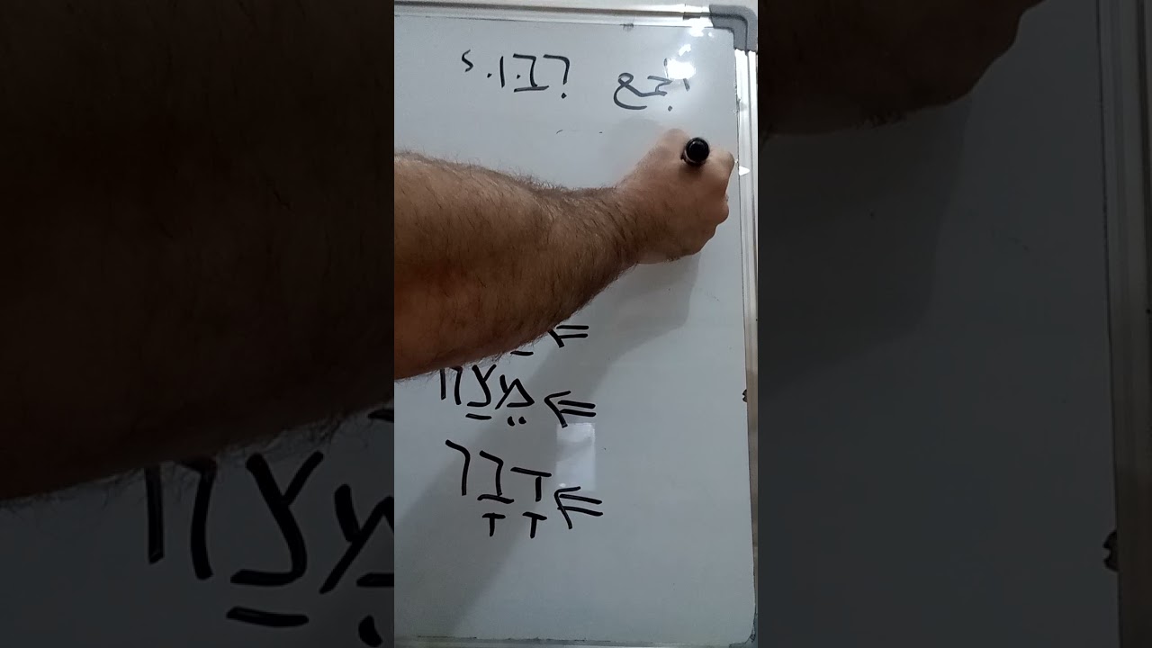 المرحلة الأولى - جمع الاسم المذكر