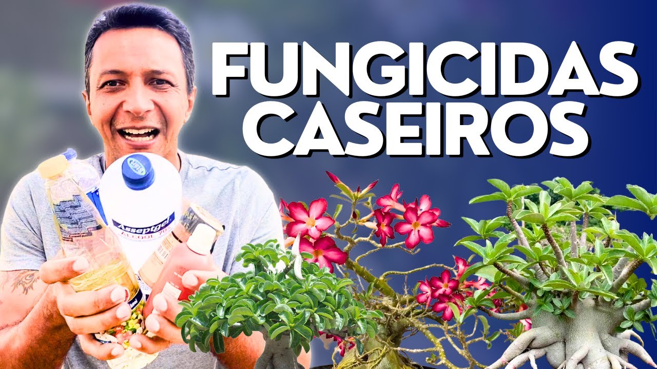 FUNGICIDAS caseiros e MILAGROSOS para as Rosas do Deserto!