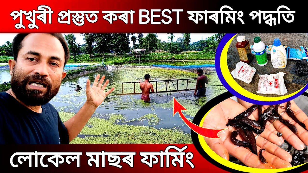 পুখুৰী প্ৰস্তুত কৰা BEST ফাৰমিং পদ্ধতি//Assam Fish hatchery//Fish Farming in Assam// Business ideas 