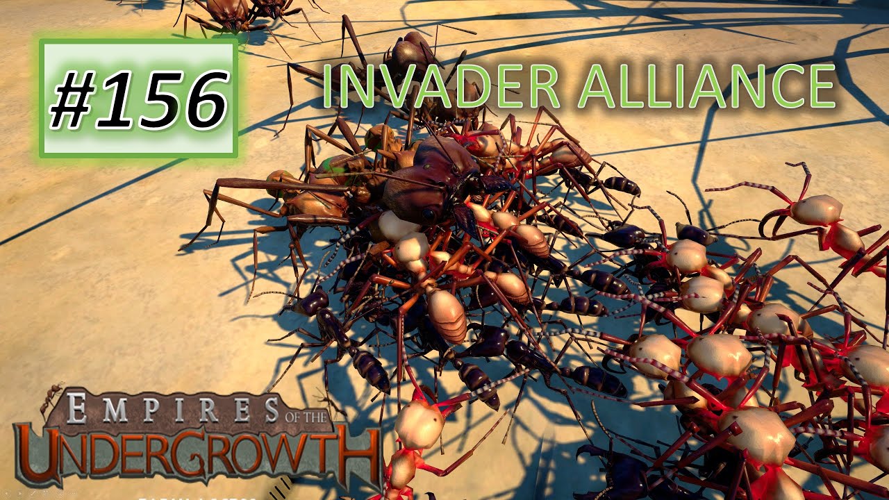 Empires of the Undergrowth #156: Invaders Join Forces! Army Ant & Driver Ant