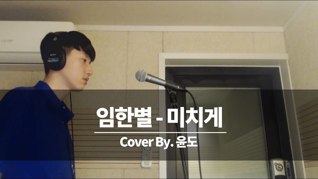 임한별 - 미치게 커버 (윤도)
