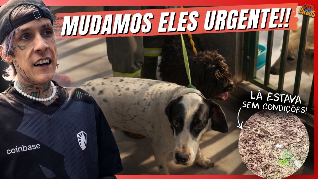 🌧️ CHUVA DESTRUIU TUDO? OLHA COMO FICOU A FAZENDINHA!