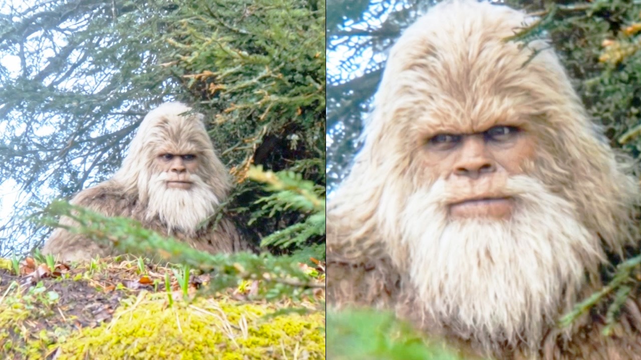 Ohio Just Had 8 Bigfoot Sightings in 5 Days. What's Actually Happening?