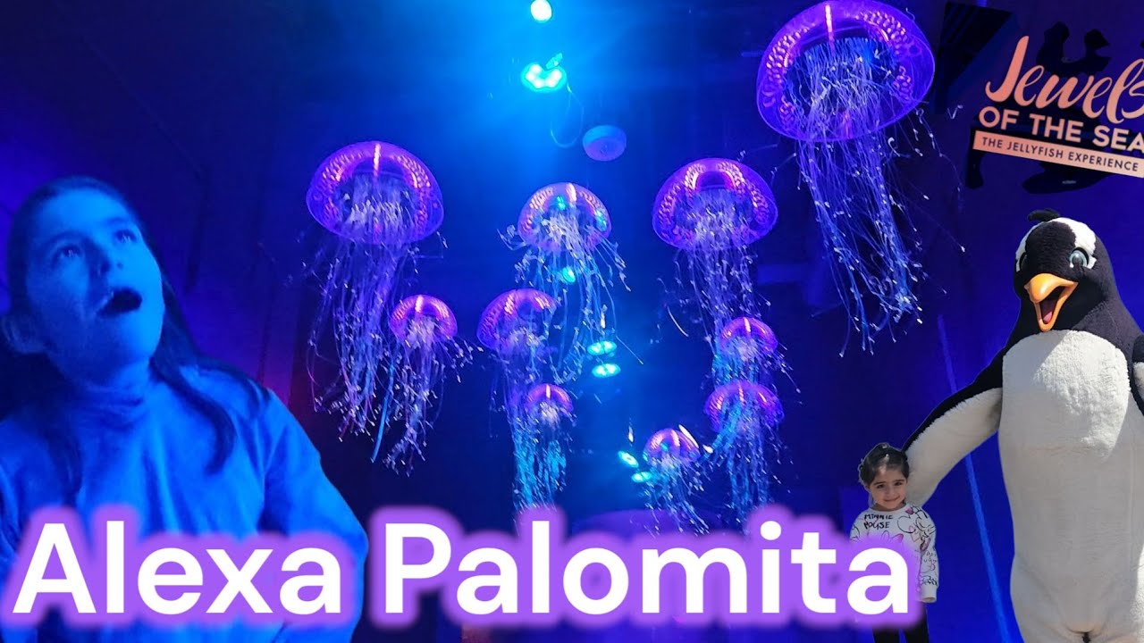 More Sea World -  Jellyfishes (Jewels of the Sea)