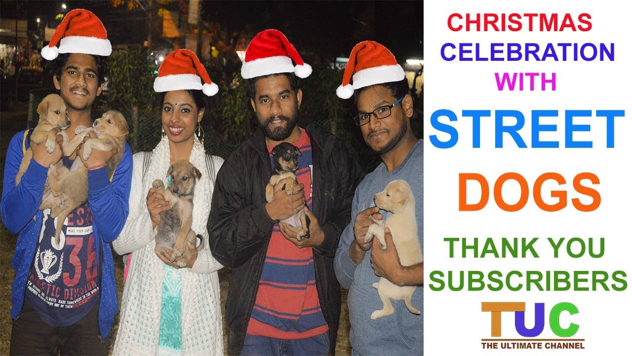 Celebrating Christmas With Street Dogs : Thank U Subscribers: The Ultimate Channel