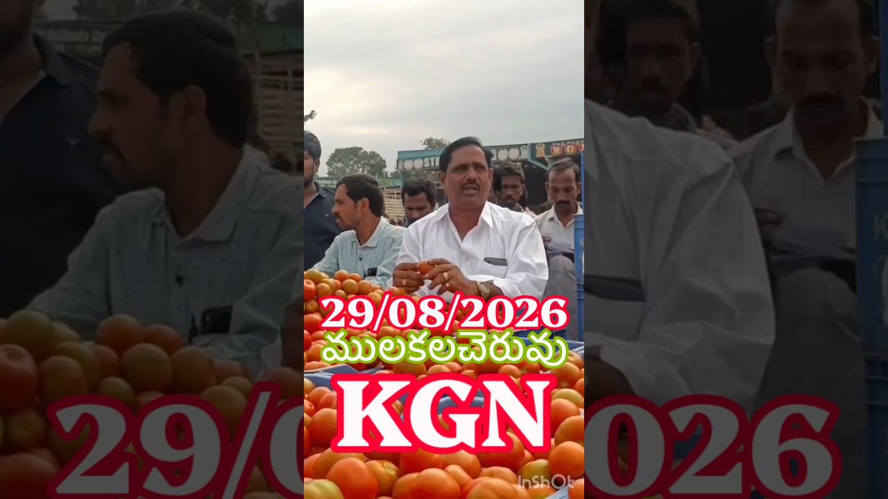 ములకలచెరువు KGN టమాటో మార్కెట్ సూపర్ టాప్ ధరలు #tomato #price #rates #today #super7 #mulakalachervu
